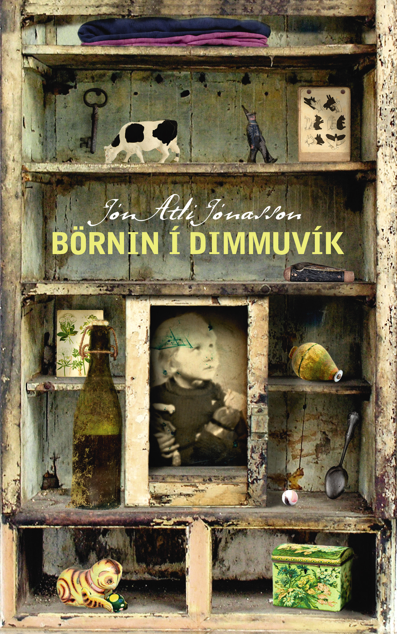 bornin_i_dimmuvik