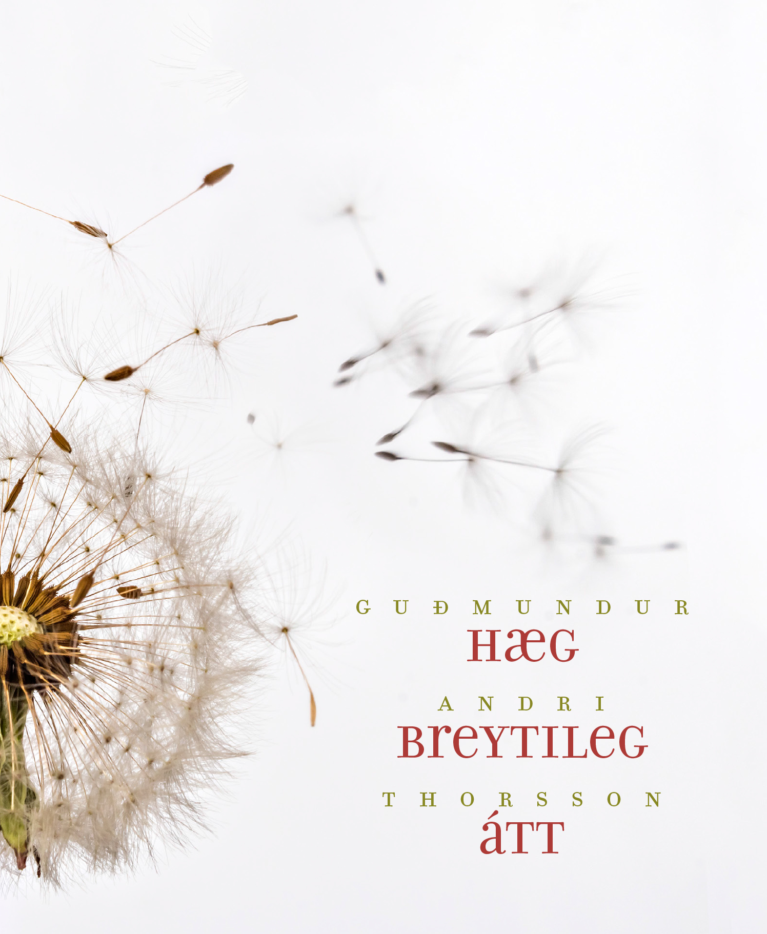 Light and Variable Direction (2016)