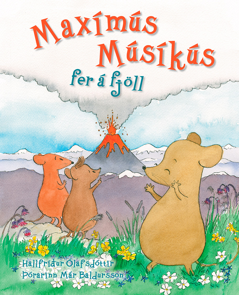 Maximus_fer_a_fjoll_kapa_72