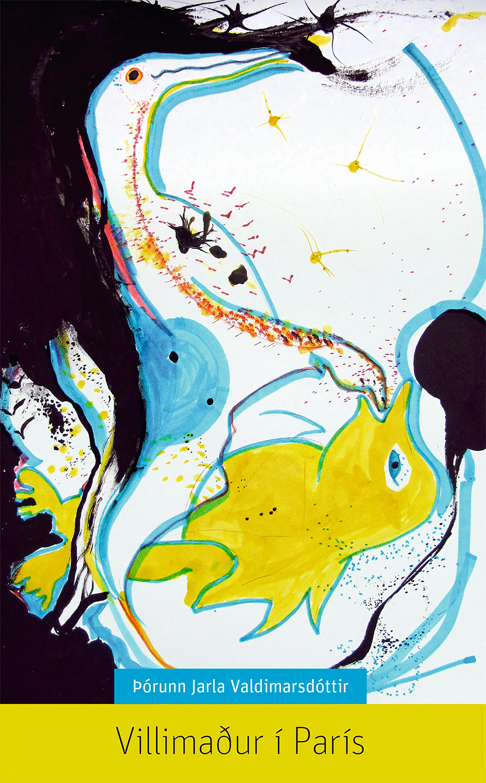 Villimadur_i_paris_72